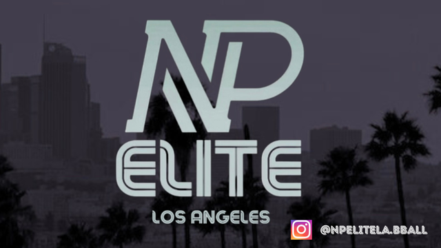 NP Elite logo